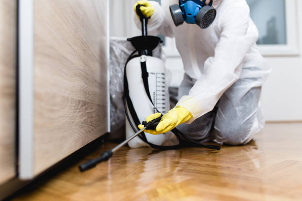 Best Flea Control Services  in Cedville, AR