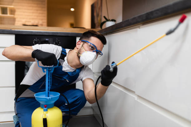 Flea Control Services in Cedarville, AR