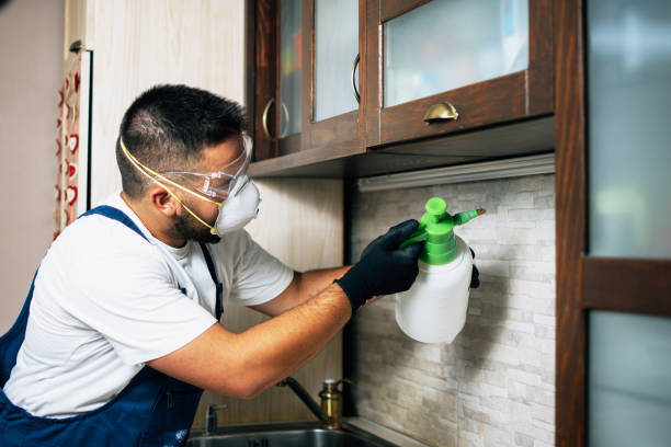 Best Cockroach Control Services  in Cedville, AR