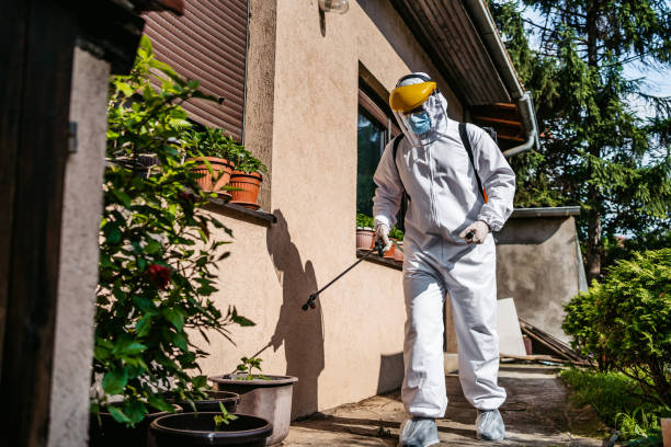 Best Insect Control  in Cedville, AR
