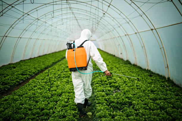 Best Pest Inspection Near Me  in Cedville, AR