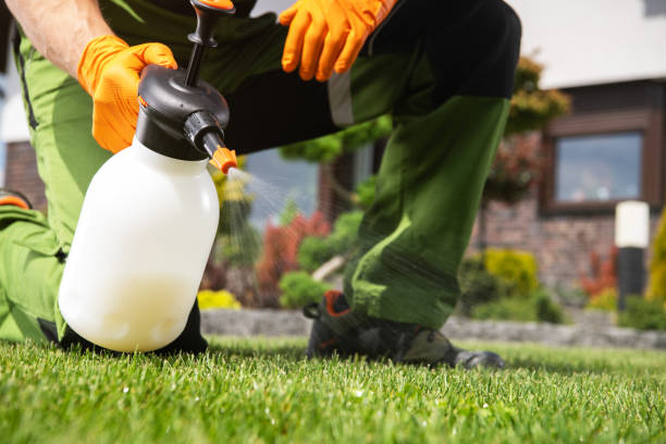 Best Commercial Pest Control Services  in Cedville, AR