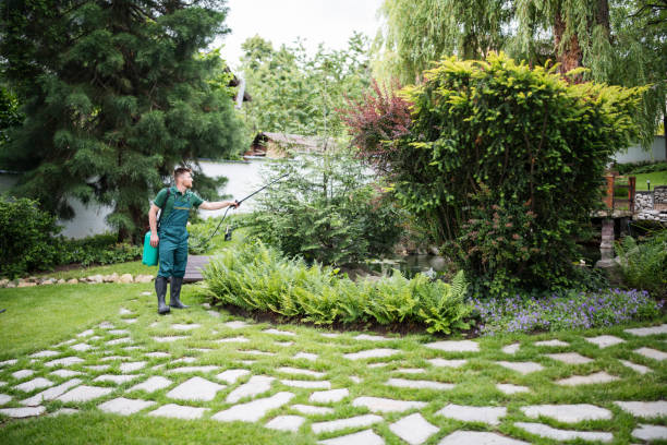Best Pest Prevention Services  in Cedville, AR