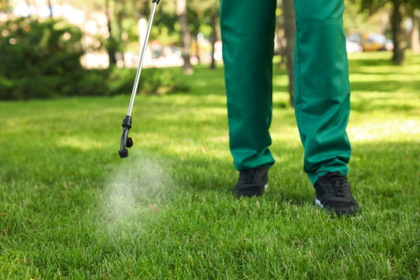 Best Termite Control Services  in Cedville, AR