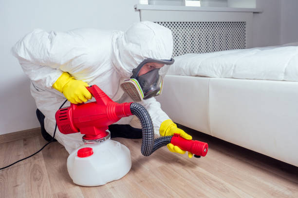 Best Affordable Pest Control Services  in Cedville, AR