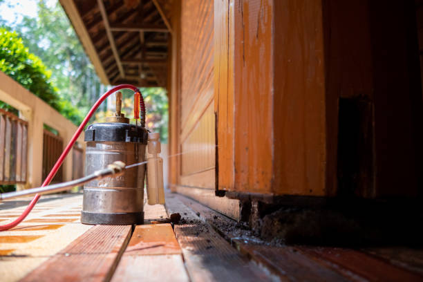 Best Best Pest Control Companies  in Cedville, AR