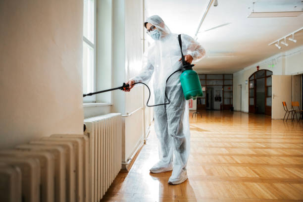 Best Local Pest Control Services  in Cedville, AR