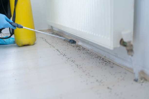 Reliable Cedarville, AR Pest Control Solutions